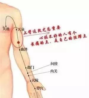 微信图片_20250613212402